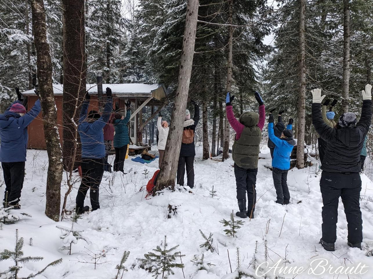 Yoga du Temps des Sucres en Forêt