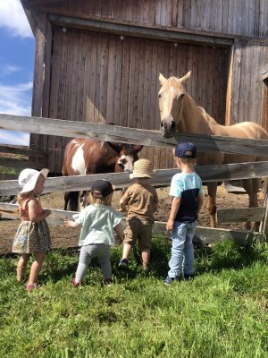 Visite Rallye à la Ferme